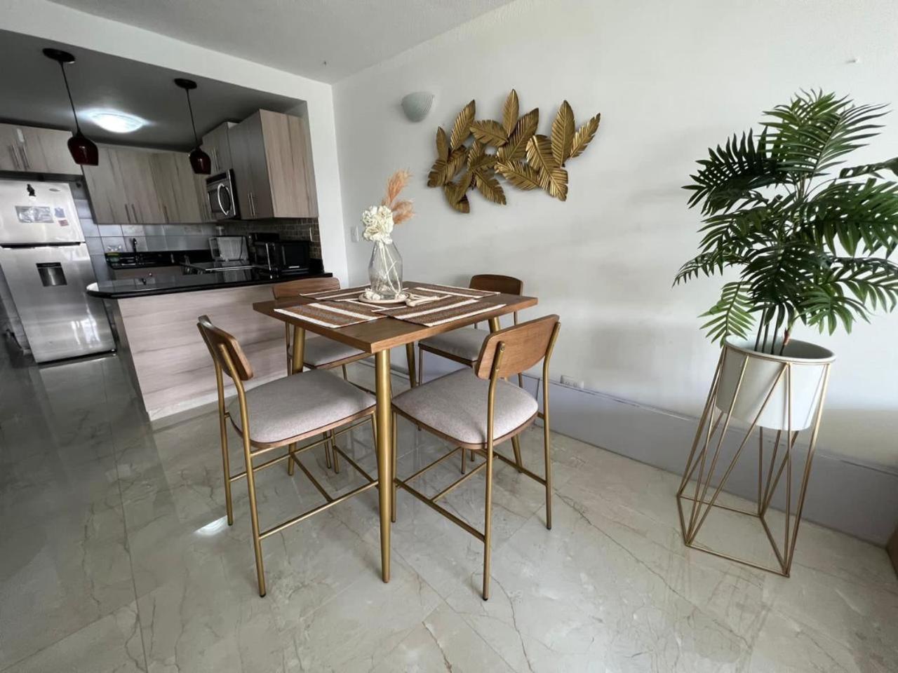 Hansita Reef 1 Cuadra De La Playa Top Apartamento *
